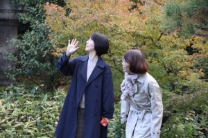 清風荘庭園見学
